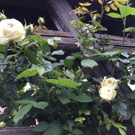 B&B Le Lodge ボウルクハイム エクステリア 写真
